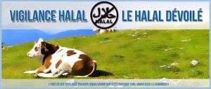 vigilance-halal